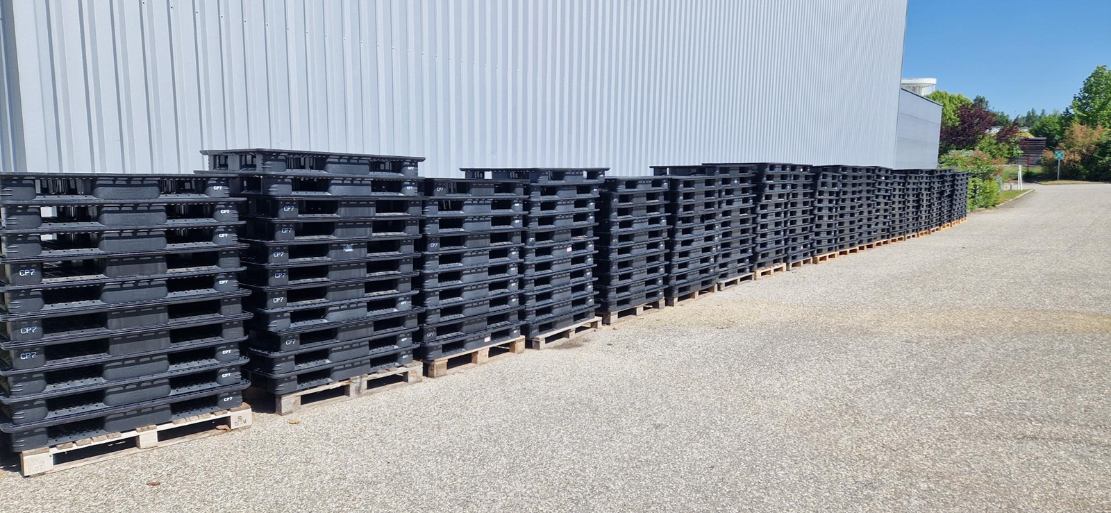 Cession gratuite de 260 palettes en plastique